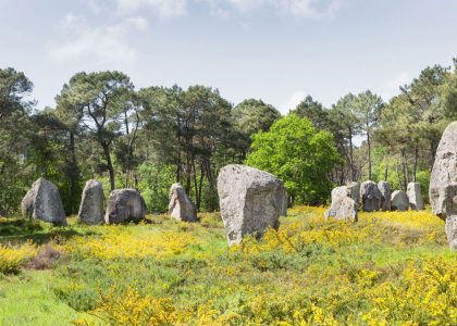 vestiges préhistoriques de France